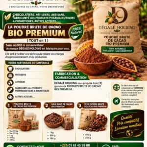 Fève Entière Brute de Cacao Bio Premium